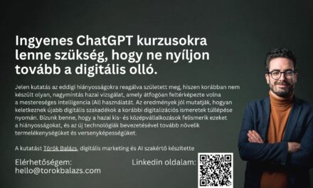 Céges AI, magán előfizetésből: sokszor a dolgozók állják a költséget