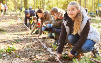 „Több fát az iskolába!” – Országos faültetési programot indít a 10 millió Fa Alapítvány