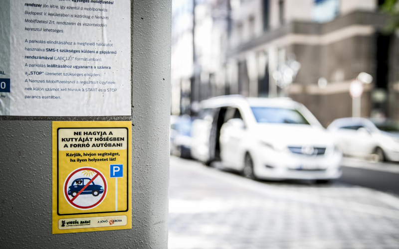 A belvárosban a parkoló automatákon matrica figyelmeztet a kocsiban hagyott kutyákra