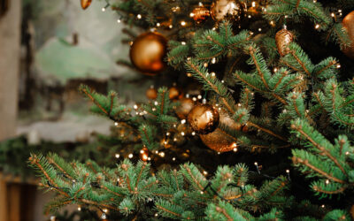 Különleges ünnep: idén a Yettel állja 100 osztály karácsonyfáját