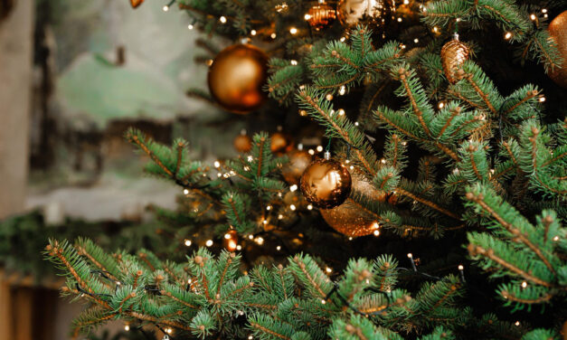 Különleges ünnep: idén a Yettel állja 100 osztály karácsonyfáját