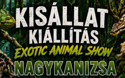 Voke Kodály Zoltán Művelődési Ház programok