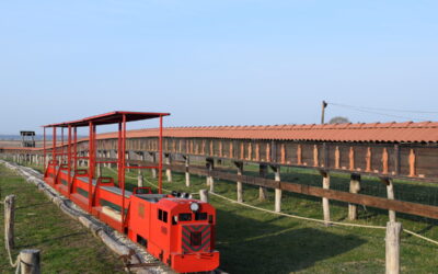 Megújult látnivalókkal nyitja a szezont a dinnyési Várpark