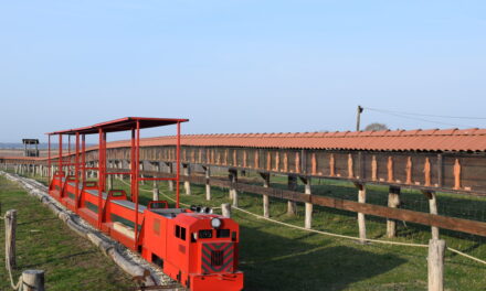 Megújult látnivalókkal nyitja a szezont a dinnyési Várpark