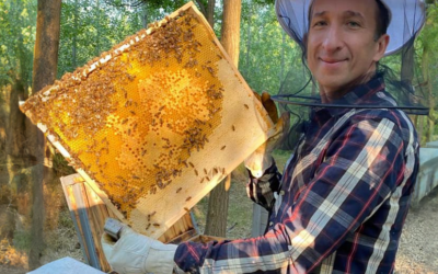 A méhméreg valóban természetes csodaszer, de ne dőljünk be a félrevezető ígéreteknek