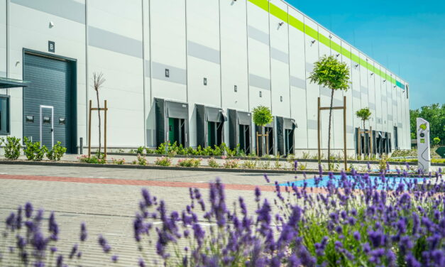 Üzleti mérföldkövek és zöld eredmények: 2025-ben tovább növekedett a HelloParks