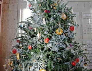 Néhány érdekes Karácsonyi szokás