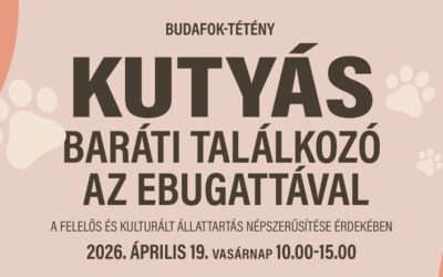 Kutyás piknik, szakértői programok és jótékonyság egy helyen: a 3. Budafok-Tétény Kutyás Baráti Találkozó az Ebugattával napon!