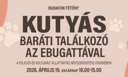 Kutyás piknik, szakértői programok és jótékonyság egy helyen: a 3. Budafok-Tétény Kutyás Baráti Találkozó az Ebugattával napon!