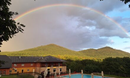 Föld napja: így lesz zöldebb a nyaralás Magyarországon