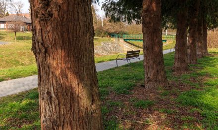 SAJTÓKÖZLEMÉNY: BEFEJEZŐDÖTT A „ZÖLDREKREÁCIÓS FEJLESZTÉS A MURA VÁROSÁBAN” PROJEKT