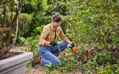 Így készülj fel időben a kertészkedésre, hogy később ne kelljen kapkodnod