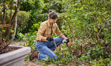 Így készülj fel időben a kertészkedésre, hogy később ne kelljen kapkodnod