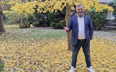 A traumák a testünkben rejtőznek?