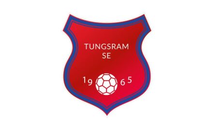 Győzelem a kézilabdás lányoknál  !