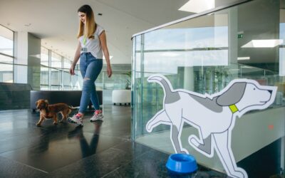 Előnyt jelent a munkaerőpiacon, ha egy cég kutyabarát