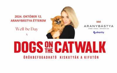 Gulyás Michelle oldalán kutyák a budai várban – Októberben ismét Dogs on the catwalk