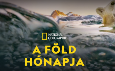 Légy részese a csodának a Föld hónapjában is a Disney+-on és a National Geographic csatornán