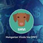Simogatják a magyar vizslát a kriptopiacok befektetői! A kedvenc magyar Hungarian Vizsla Inu