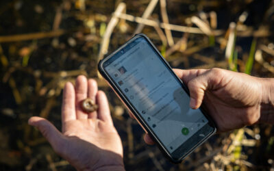 Egy megyényi természet sorsa múlik azon, mit tudunk róla – és most bárki beszállhat a rejtett értékek feltérképezésébe