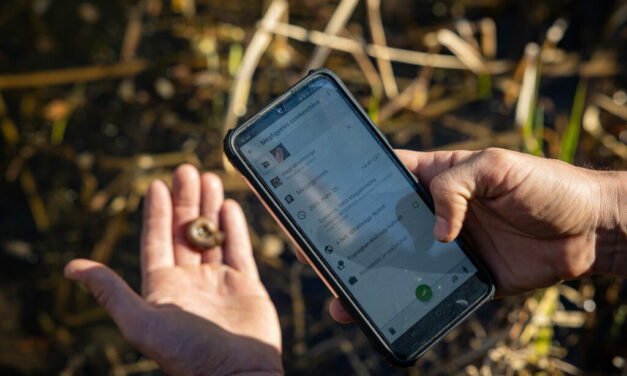 Egy megyényi természet sorsa múlik azon, mit tudunk róla – és most bárki beszállhat a rejtett értékek feltérképezésébe