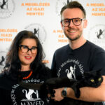 Az ivartalanítás az egyetlen megoldás a kóbormacska-kolóniák felszámolására