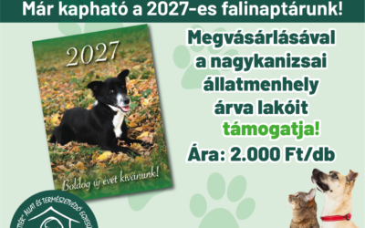 Megjelent ! A Nagykanizsai Állatmenhely Fali Naptára !