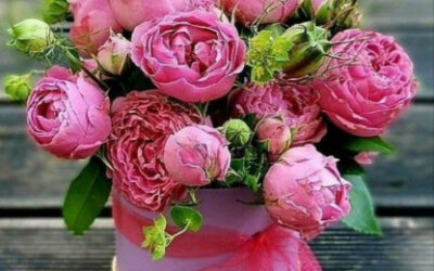 Minden Csillának boldog névnapot !