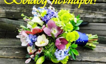 Minden Aliznak és Vandának Boldog Névnapot !