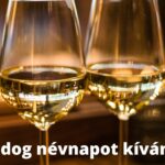 Minden Tivadarnak Boldog Névnapot !