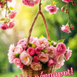 Minden Johannának boldog névnapot !