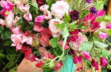 Minden Tündének boldog névnapot !