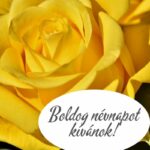 Minden Szilviának Boldog Névnapot !