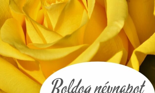 Minden Szilviának Boldog Névnapot !