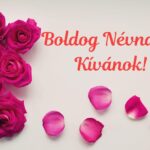 Minden Rékának , Leónak Boldog Névnapot !