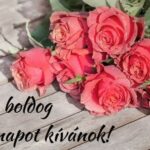 Minden Simonnak és Szimonettának Boldog Névnapot …