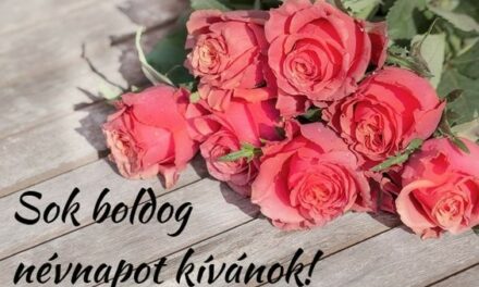 Minden Annának és Anikónak Boldog Névnapot !