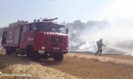 Egy arra haladó busz utasa jelezte, hogy közel kétméteres lángokat lát !