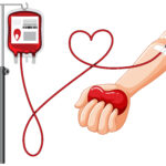 2025. évi magyarországi szervdonációs és transzplantációs adatokról