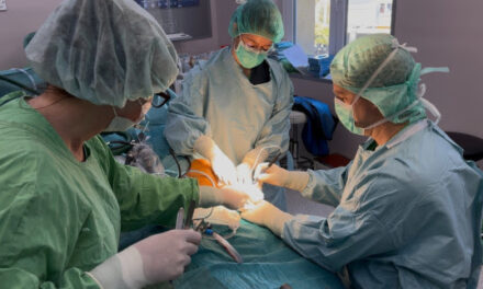 Egyedülálló ellátás a fiatal sportolókért – Megnyílt a Bethesda Sportegészségügyi Központja