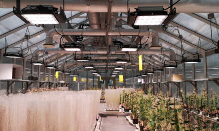Évszaktól független termelés: már elérhető a hazai technológia az agráriumban