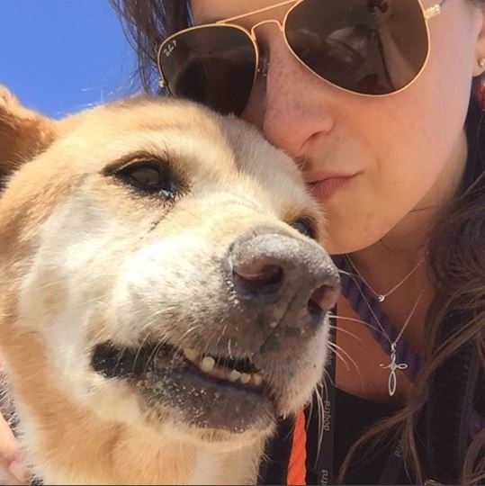 Az idős, beteg utcai kutyának három hónapot jósoltak – így él egy éve új családjánál
