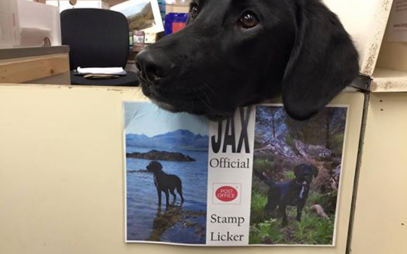 A postán dolgozó kutyának van a legédesebb munkája