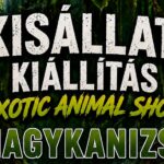 Voke Kodály Zoltán Művelődési Ház programok