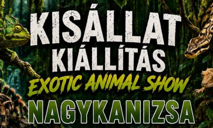 Voke Kodály Zoltán Művelődési Ház programok