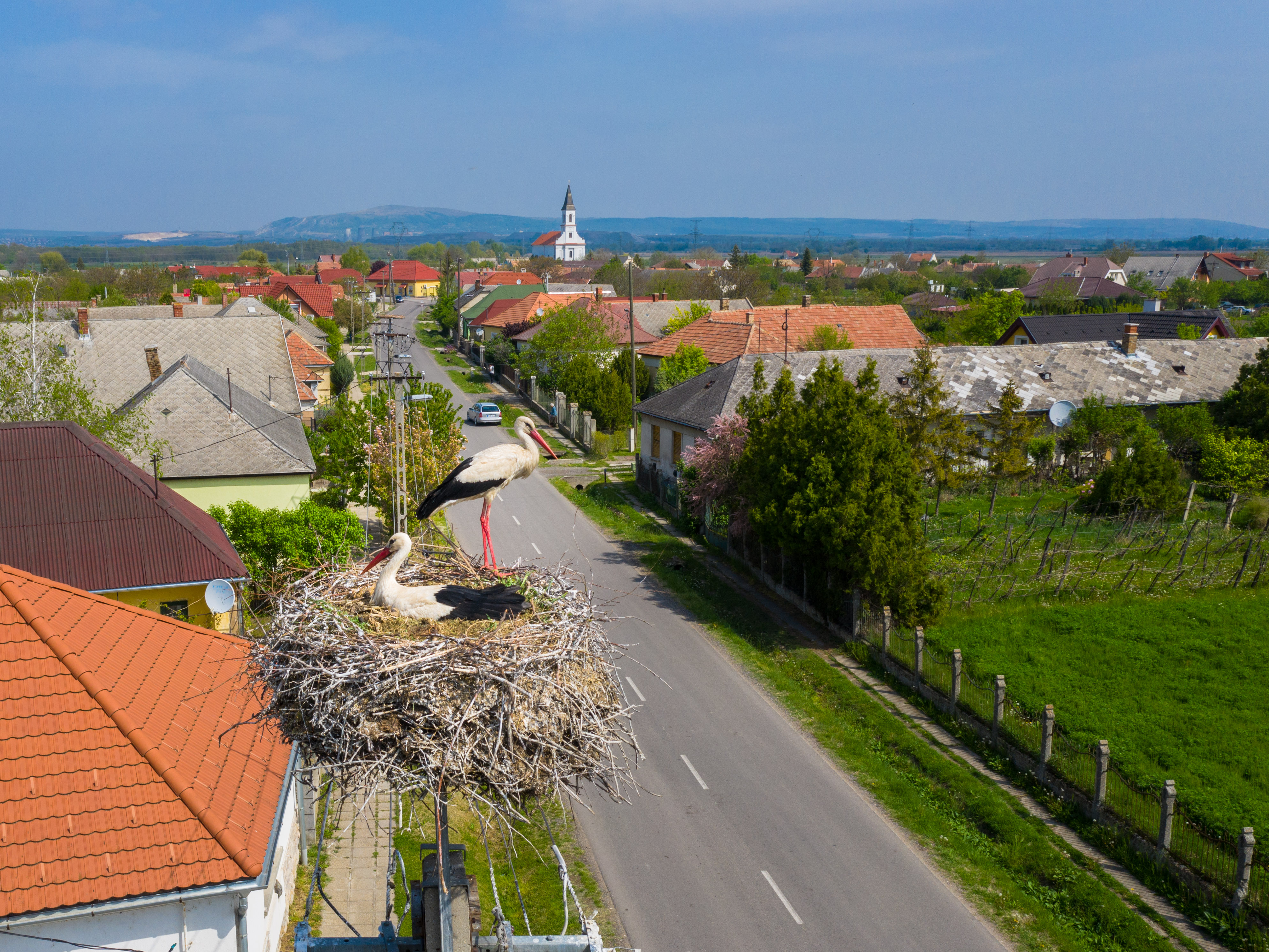 161 hely lett gólyabarát a Balaton-felvidéki Nemzeti Park Igazgatóság működési területén