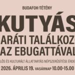Kutyás piknik, szakértői programok és jótékonyság egy helyen: a 3. Budafok-Tétény Kutyás Baráti Találkozó az Ebugattával napon!