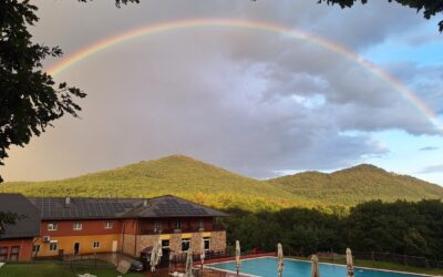 Föld napja: így lesz zöldebb a nyaralás Magyarországon