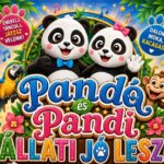 Nagykanizsai Honvéd Kaszinó programok
