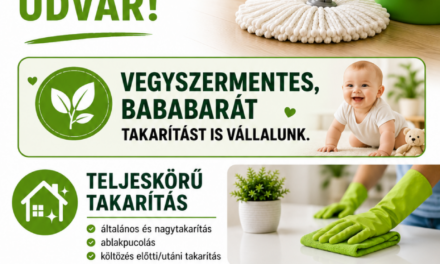 Tiszta Otthon !